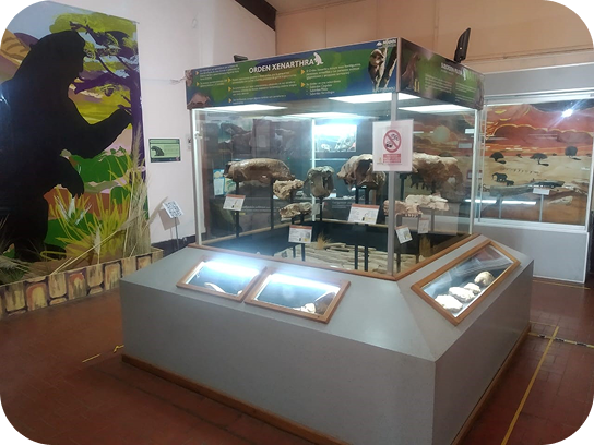 Interior del museo